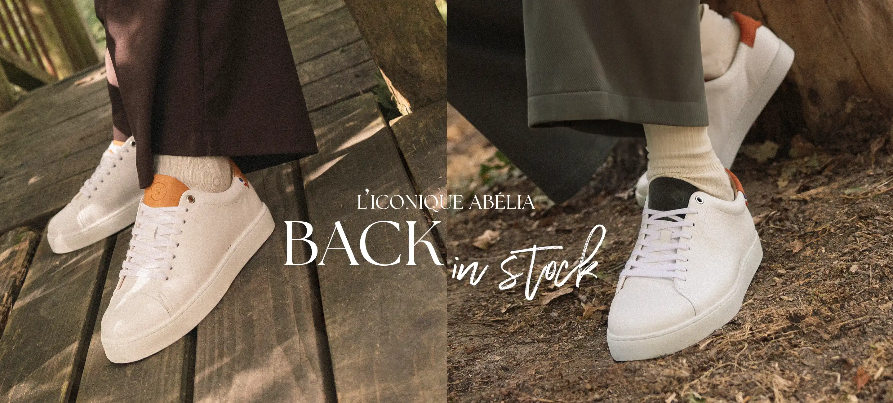 BIS ABELIA Slide background