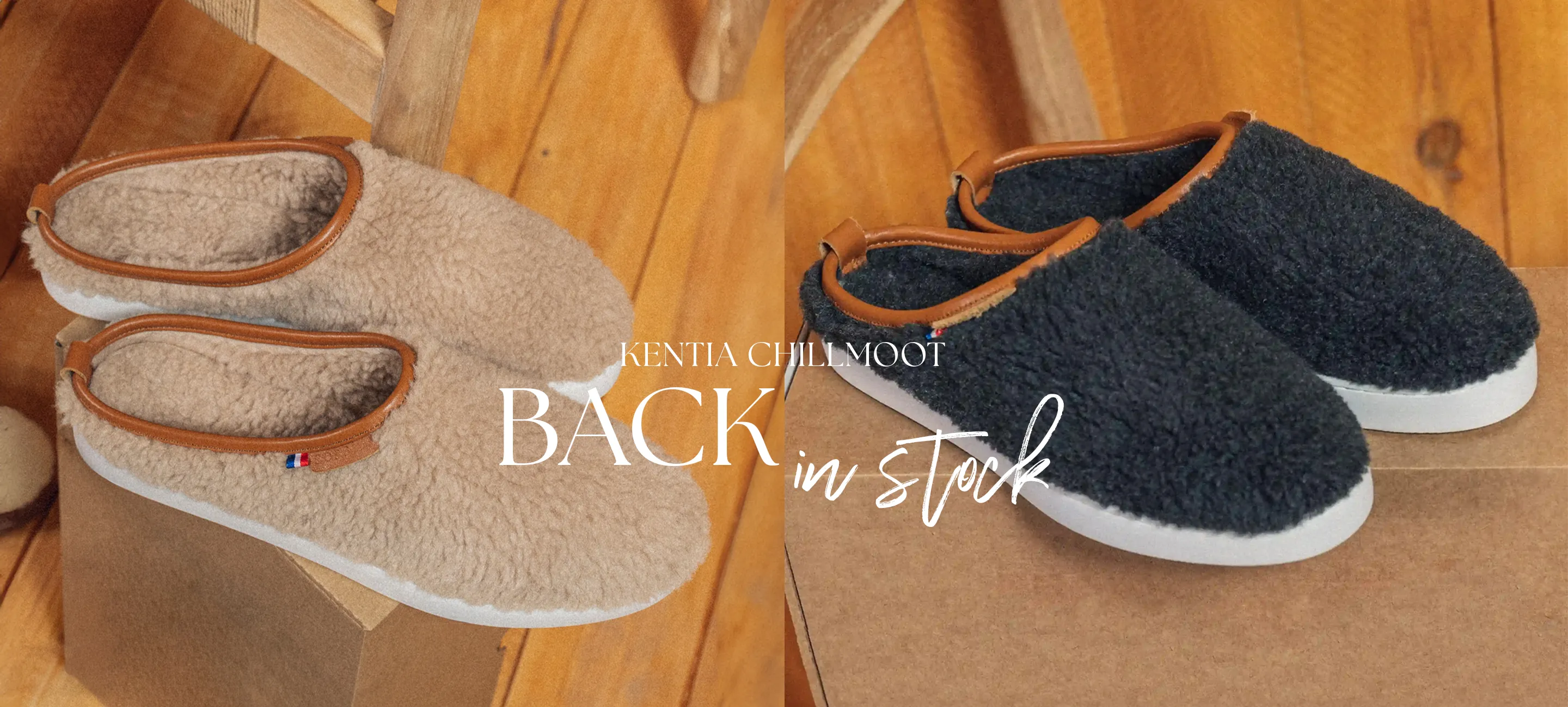 BIS CHILLMOOT Slide background