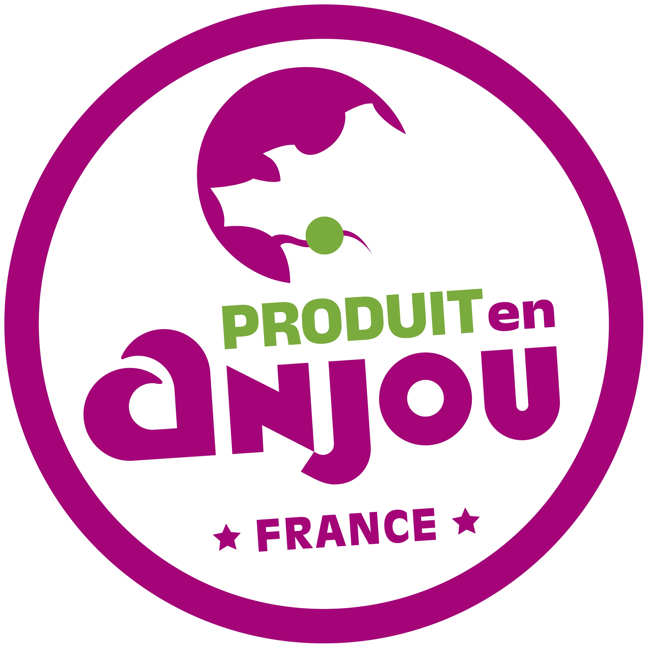 Logo_PDT_en_Anjou_RVB jpg.jpg